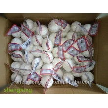 Ail blanc pur chinois taille 6.0-6.5 cm 3PX80bags / 10 kg carton